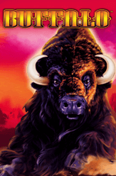 Buffalo